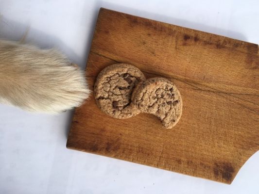 Chocolate chip cookies on wooden table with dog paw_kaca.rasic_shutterstock