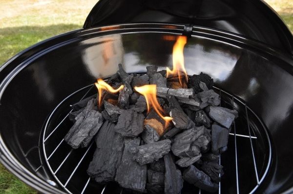 charcoal for dogs
