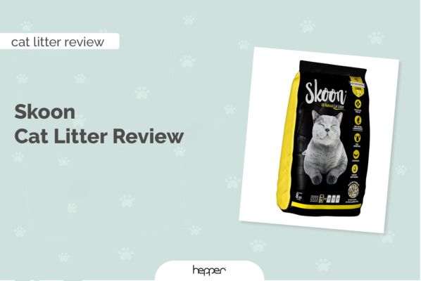 skoon cat litter review header image