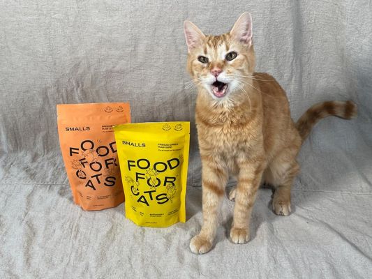 smalls freeze-dried raw recipes with yawning tabby cat