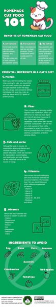 homemade cat food 101 infographic