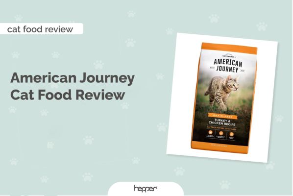 Recenzia krmiva pre macky American Journey - najlepsie tipy, vyhody a nevyhody
