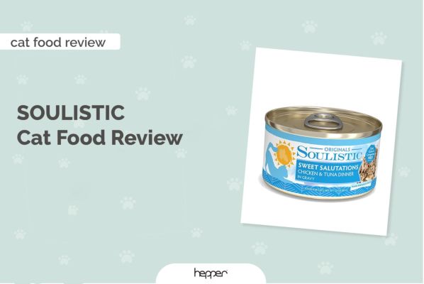 soulistic cat food review header