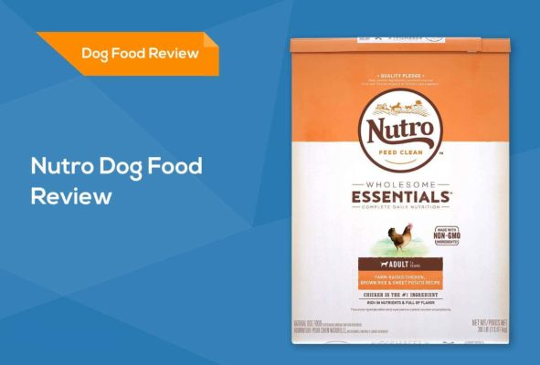 nutro dog food review