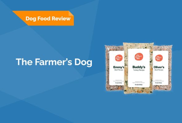 the farmers dog review