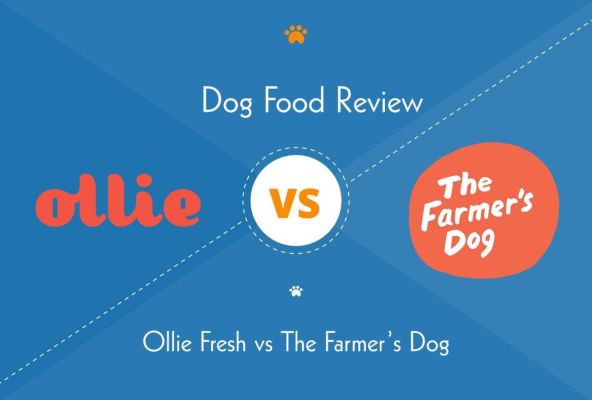 ollie vs farmers dog