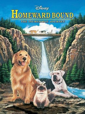 Homeward Bound - The Incredible Journey
