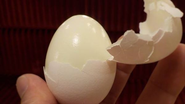 Can Dogs Eat Hard-Boiled Eggs