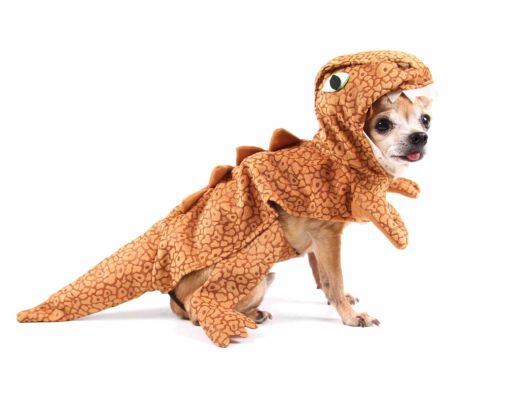 chihuahua in a t. rex costume